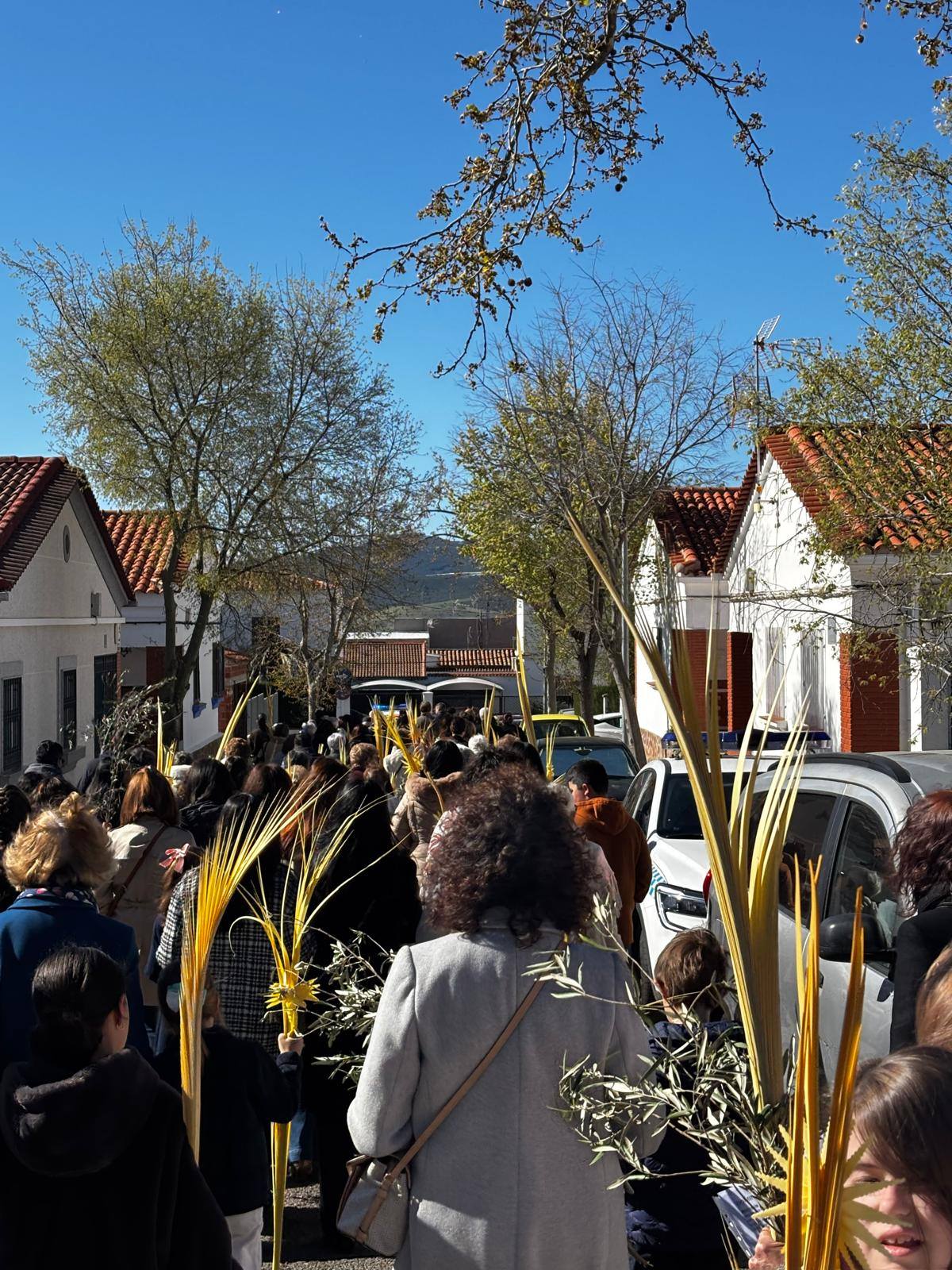 659398155 1239708468328826 4850766746675157342 n