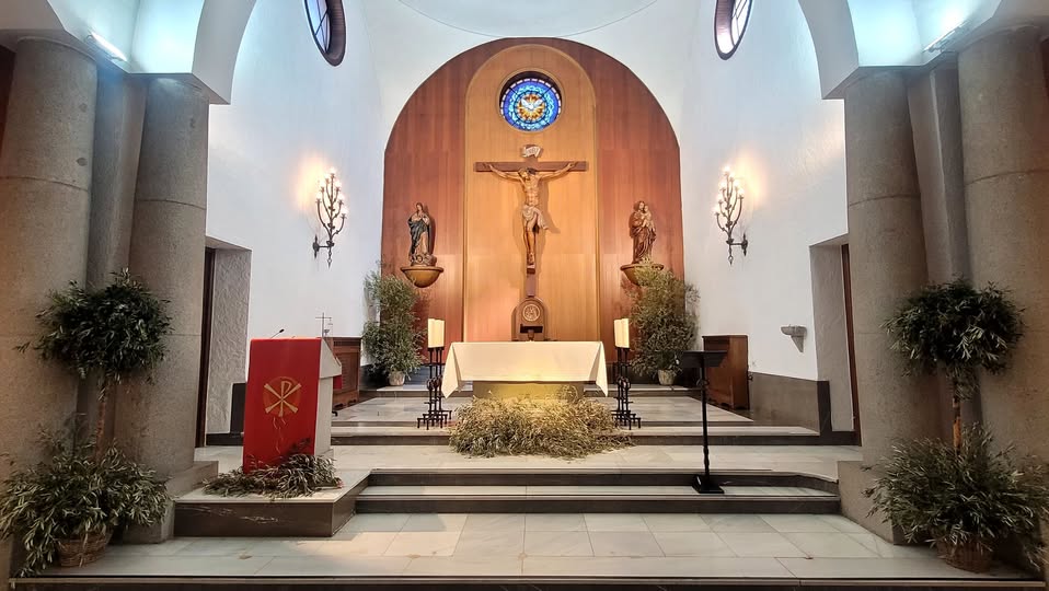 659954375 1239498978349775 3737780488292192226 n